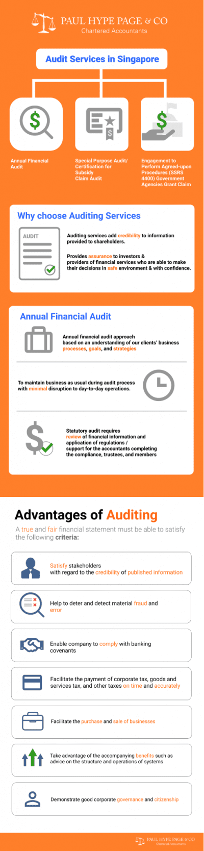 Infographic- Audit-Services SG Audit Services