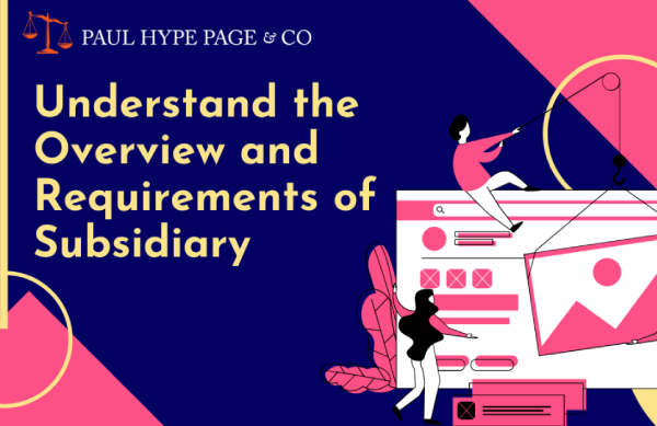 Understand the Overview and Requirements of Subsidiary