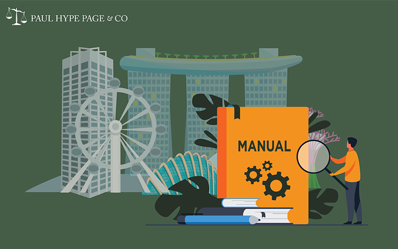A Guide To Starting, Maintaining & Expanding A Business in Singapore