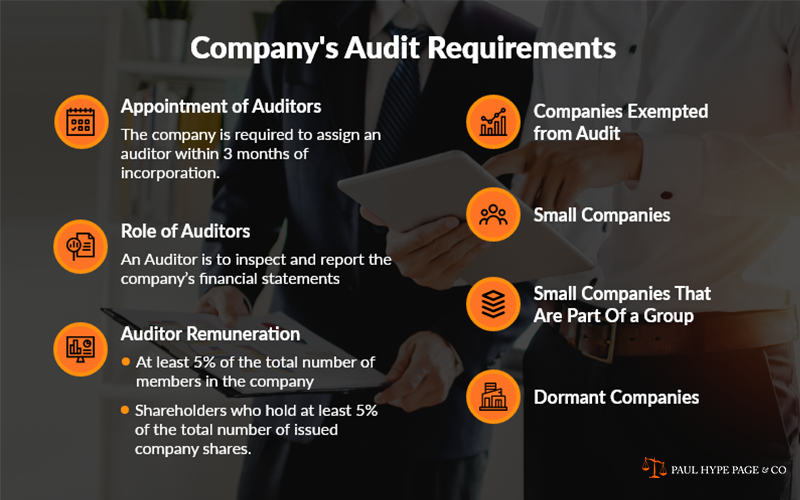 Company’s Audit Requirements professional audit services